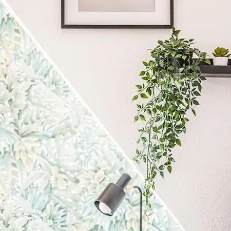 Apartment Single Im Zentrum Mit Wlan Und Parkplatz *