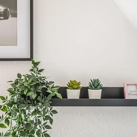Apartment Single Im Zentrum Mit Wlan Und Parkplatz *